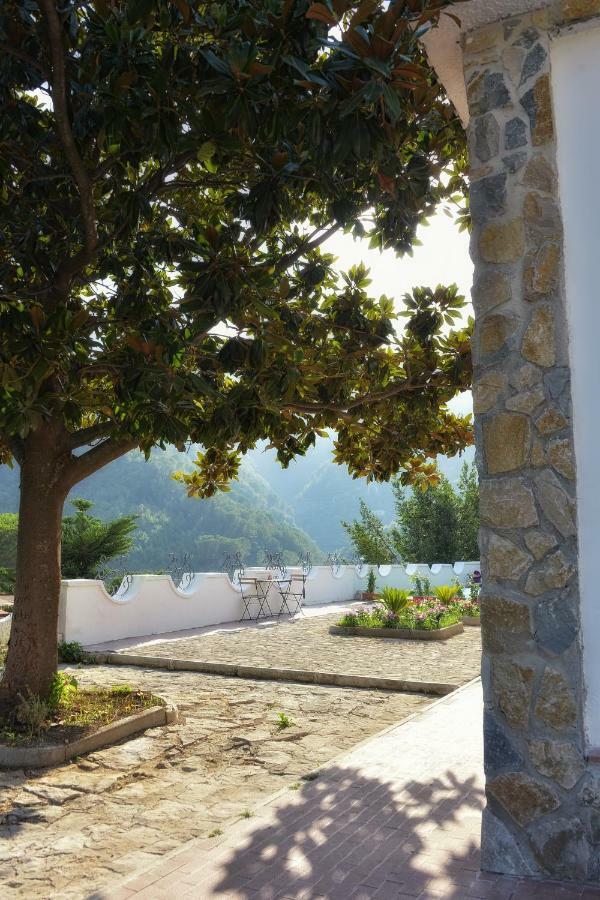 Ferienhaus Costa *
